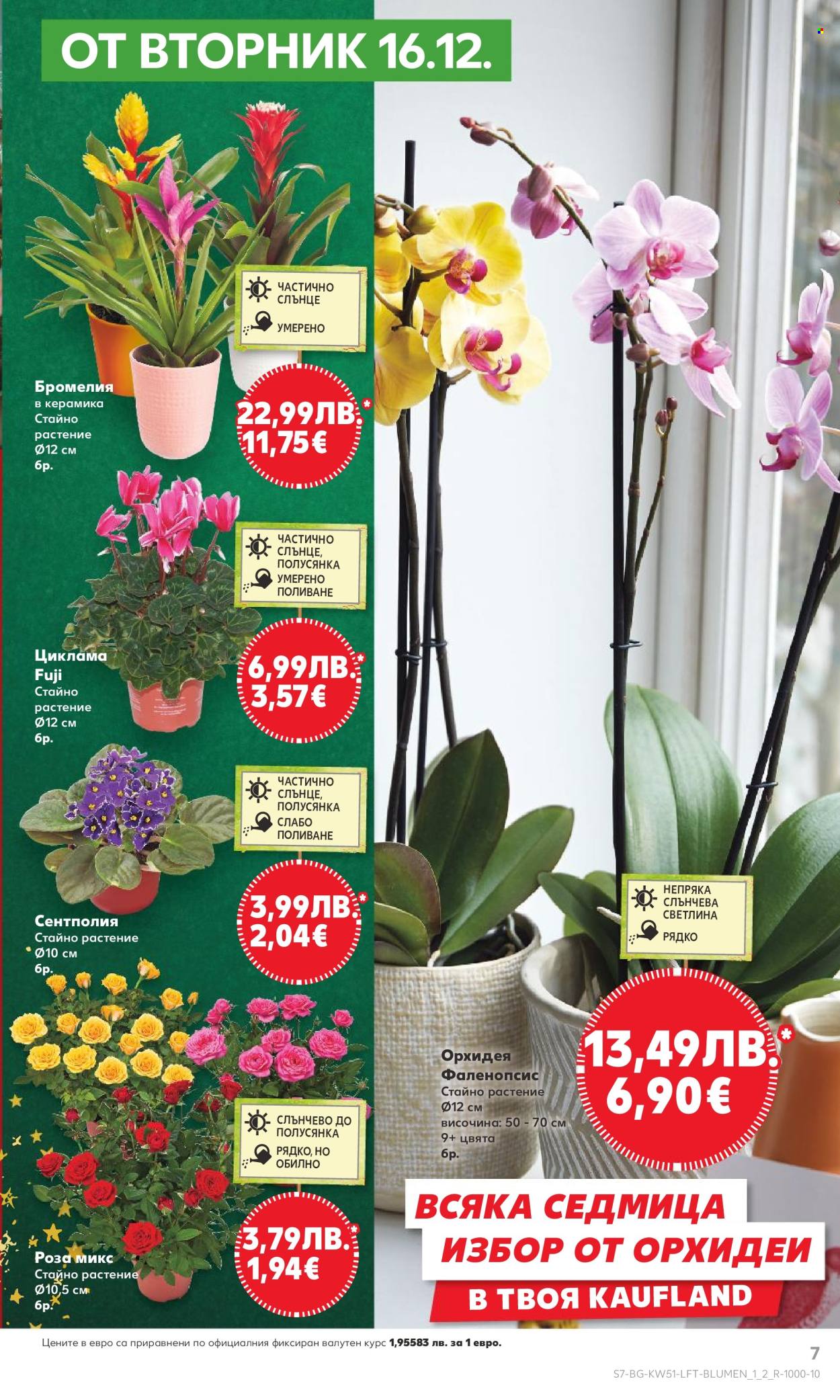 Брошура на Кауфланд - 15.12.2025 - 21.12.2025. Страница 7