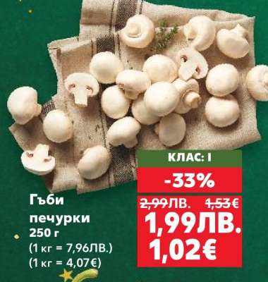 Гъби печурки