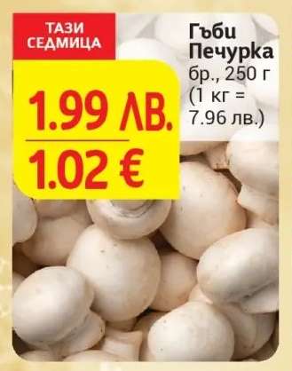 Гъби печурка