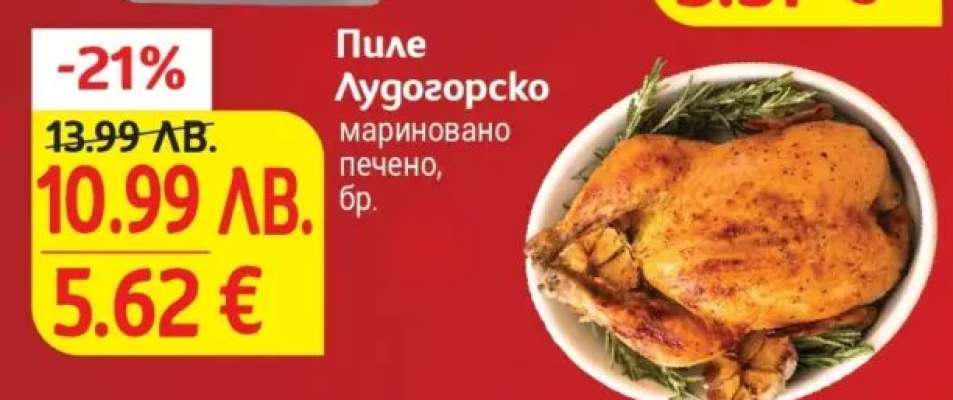 Пиле Лудогорско