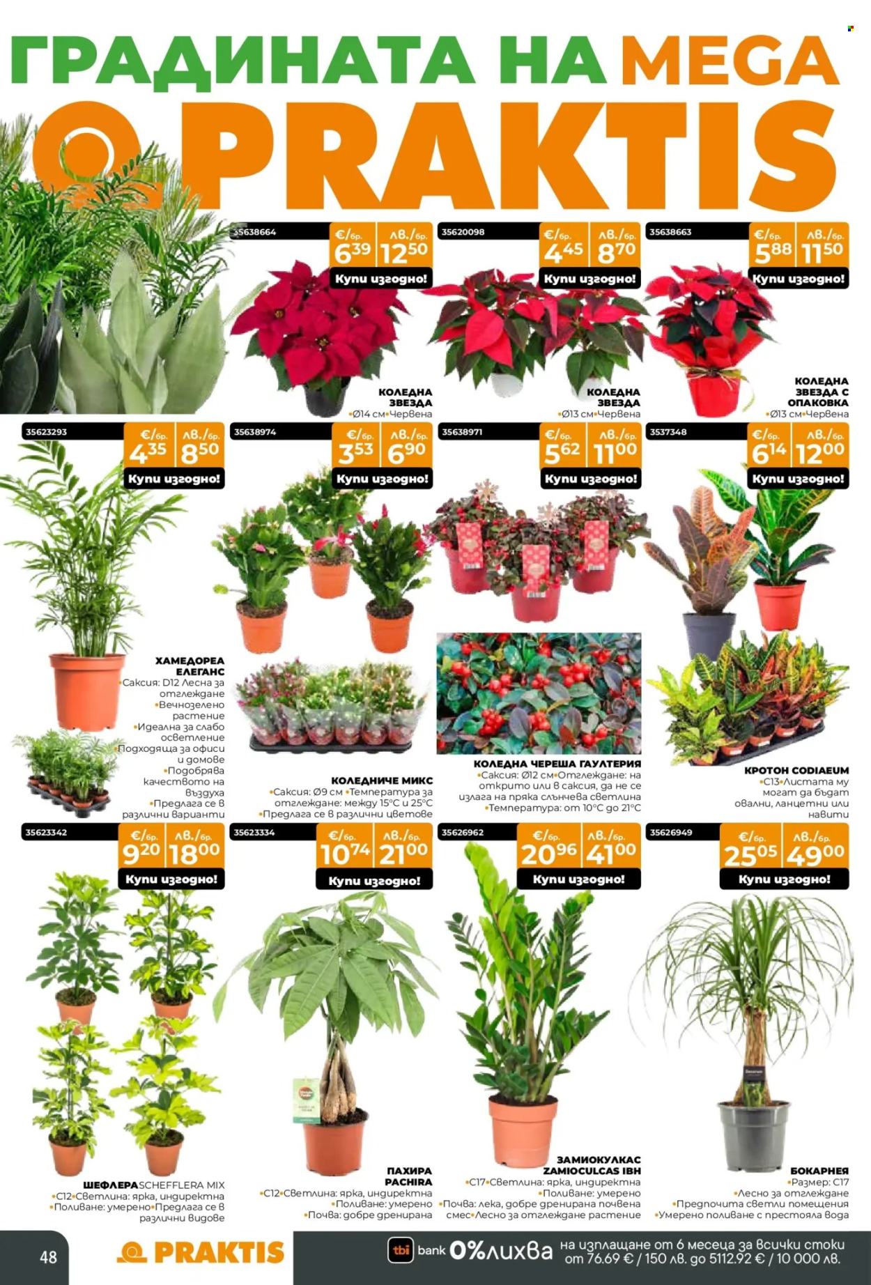 Брошура на Практис - 15.12.2025 - 11.01.2026. Страница 48