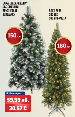 Елха „Заскрежена“ със смесени връхчета и шишарки