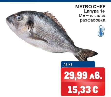 METRO CHEF Ципура 1+