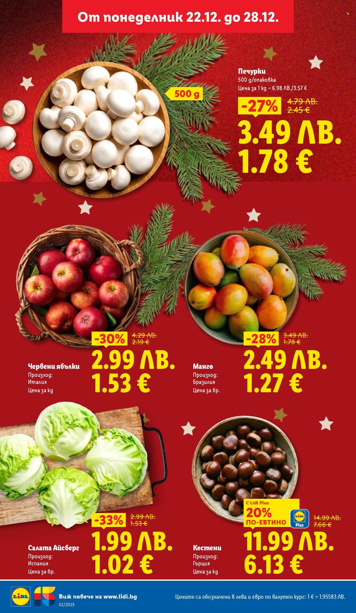 Брошура на Лидл - 22.12.2025 - 28.12.2025. Страница 2