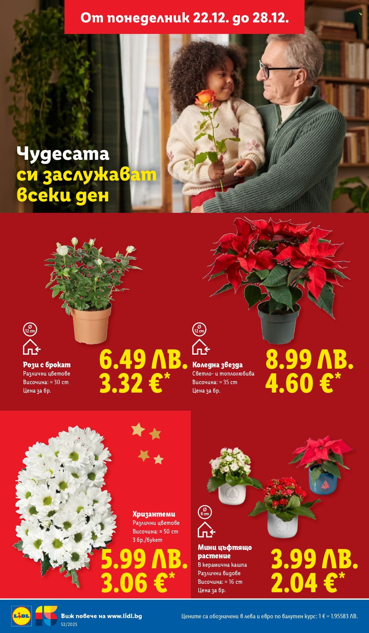 Брошура на Лидл - 22.12.2025 - 28.12.2025. Страница 46