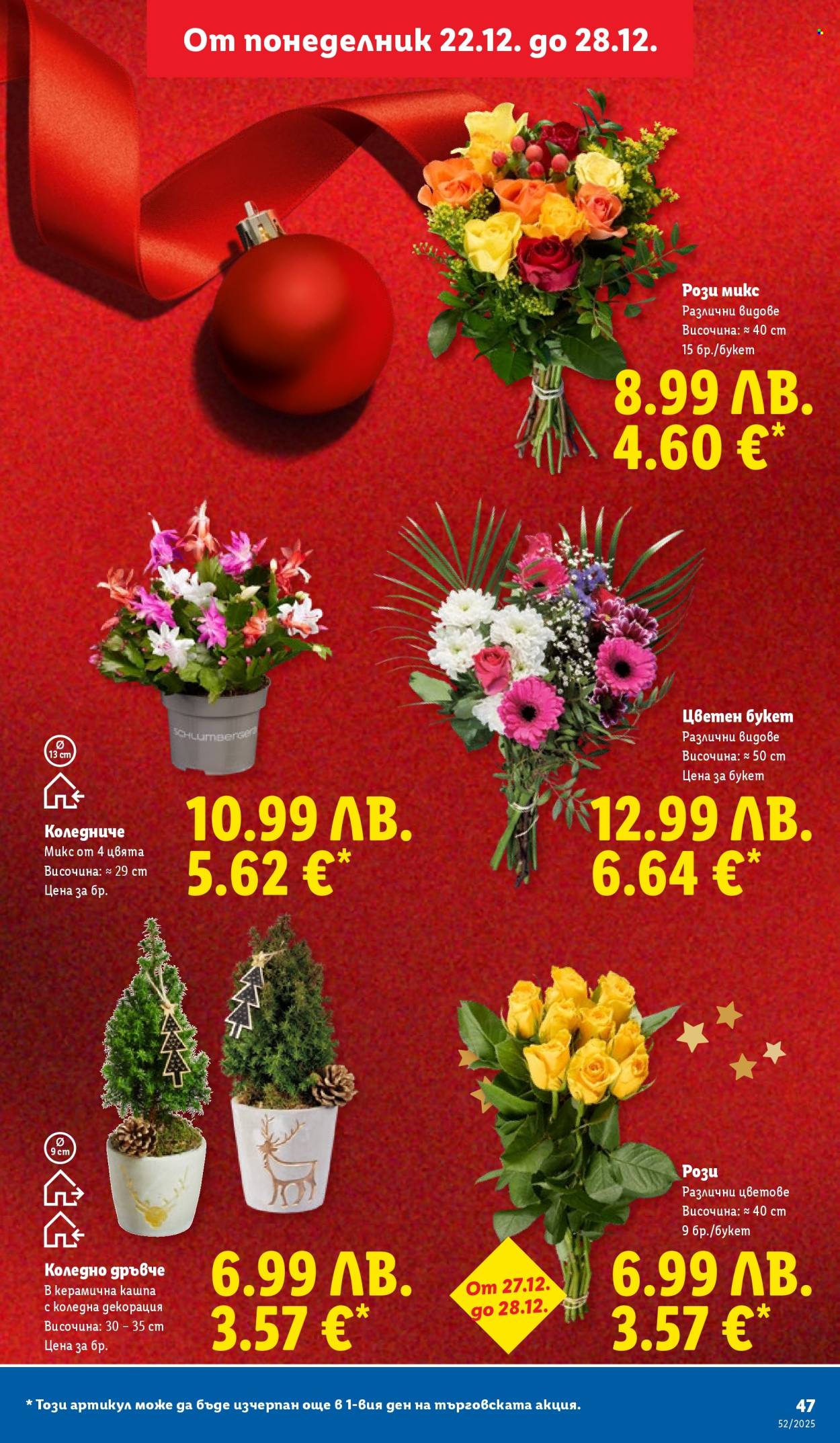 Брошура на Лидл - 22.12.2025 - 28.12.2025. Страница 47