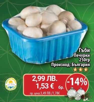 Гъби печурки