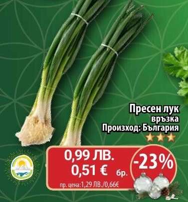 Пресен лук връзка