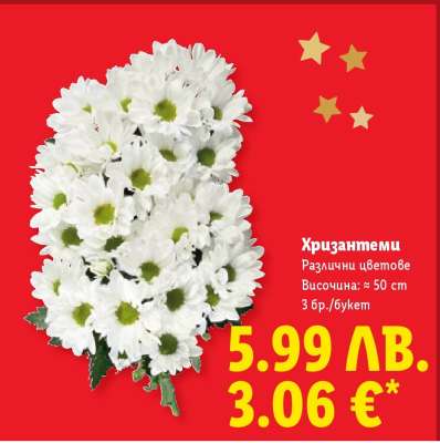 Хризантеми