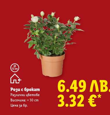 Рози с брокат