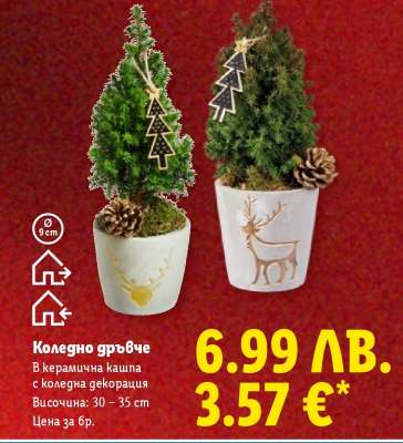 Коледно дръвче