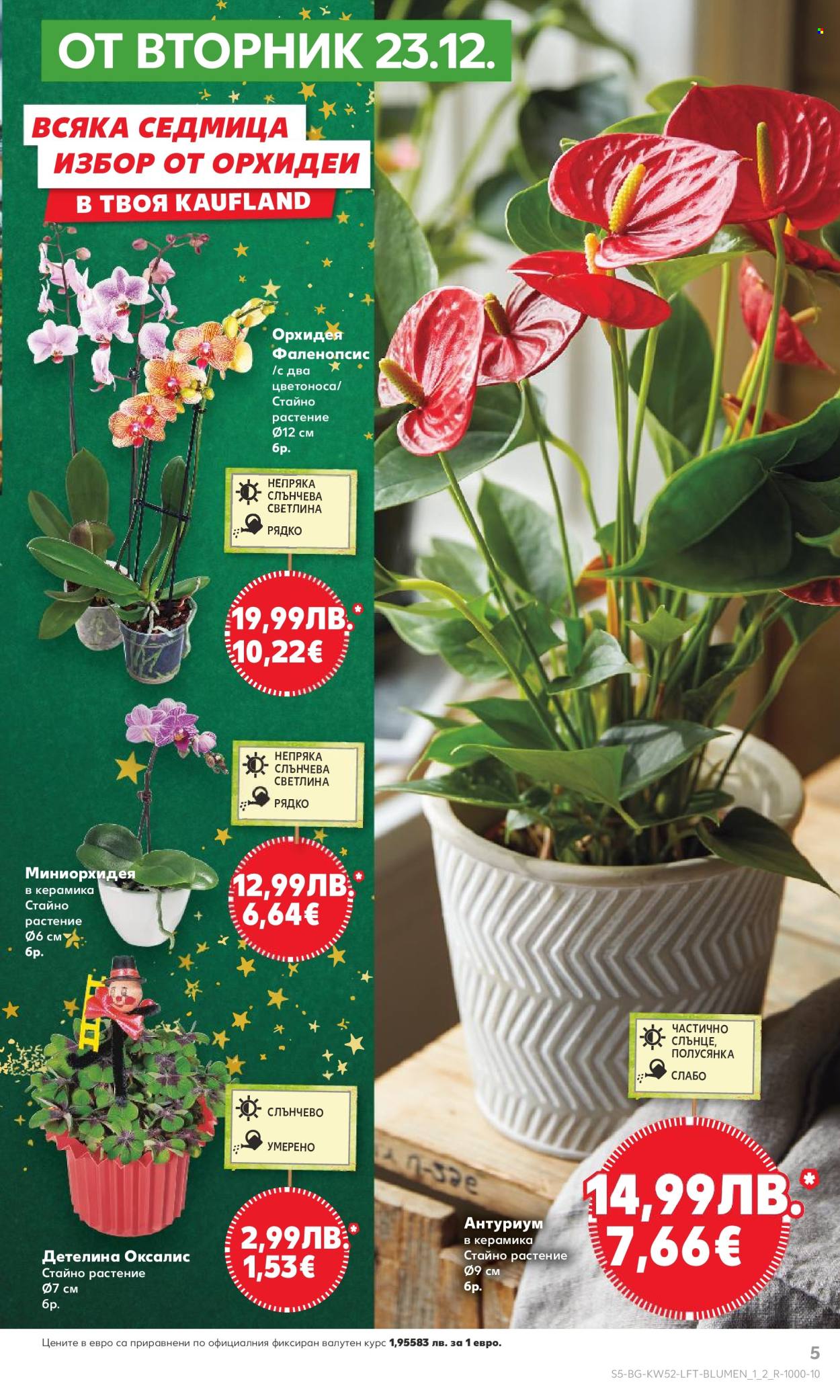 Брошура на Кауфланд - 22.12.2025 - 28.12.2025. Страница 5