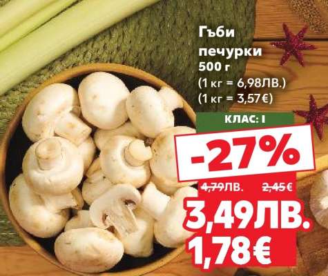 Гъби печурки