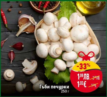 Гъби печурки