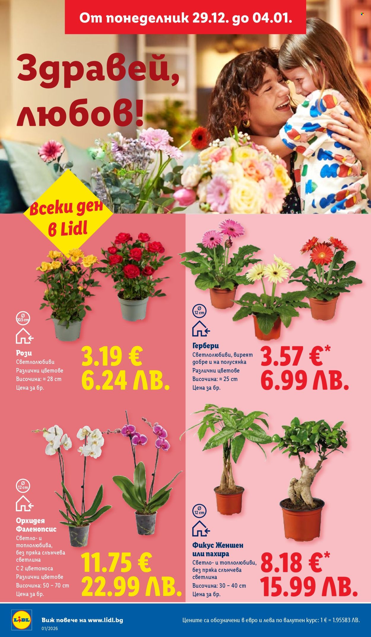 Брошура на Лидл - 29.12.2025 - 04.01.2026. Страница 34