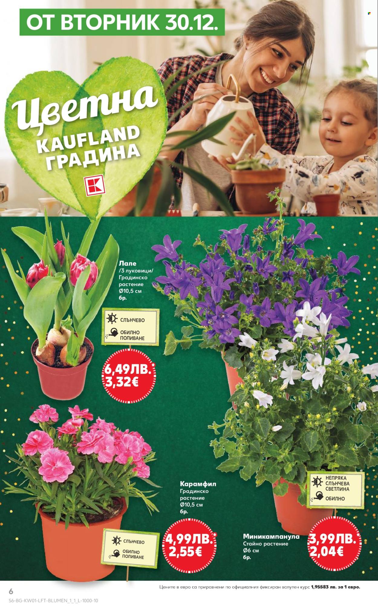 Брошура на Кауфланд - 29.12.2025 - 04.01.2026. Страница 6