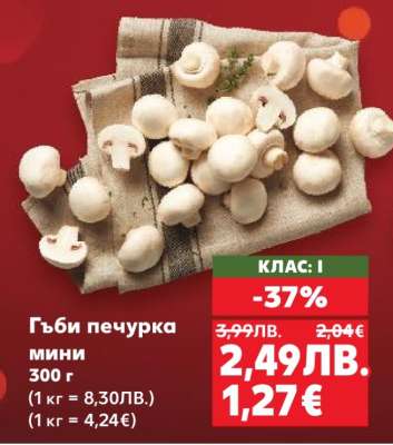 Гъби печурка мини