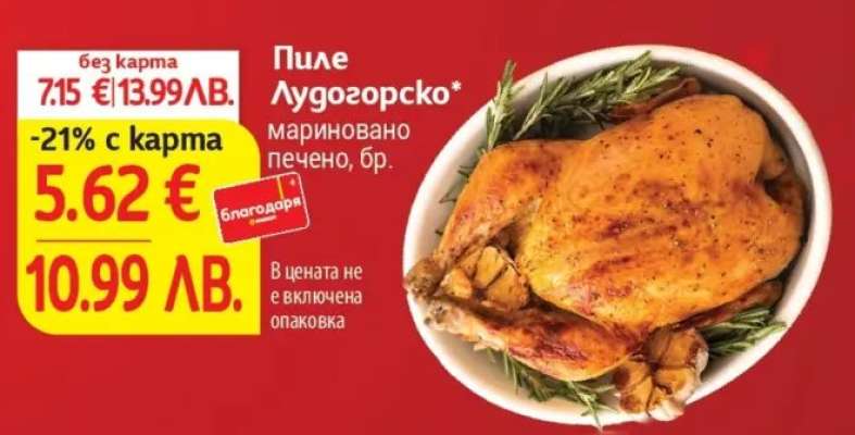 Пиле Лудогорско