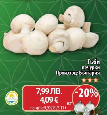 Гъби печурки