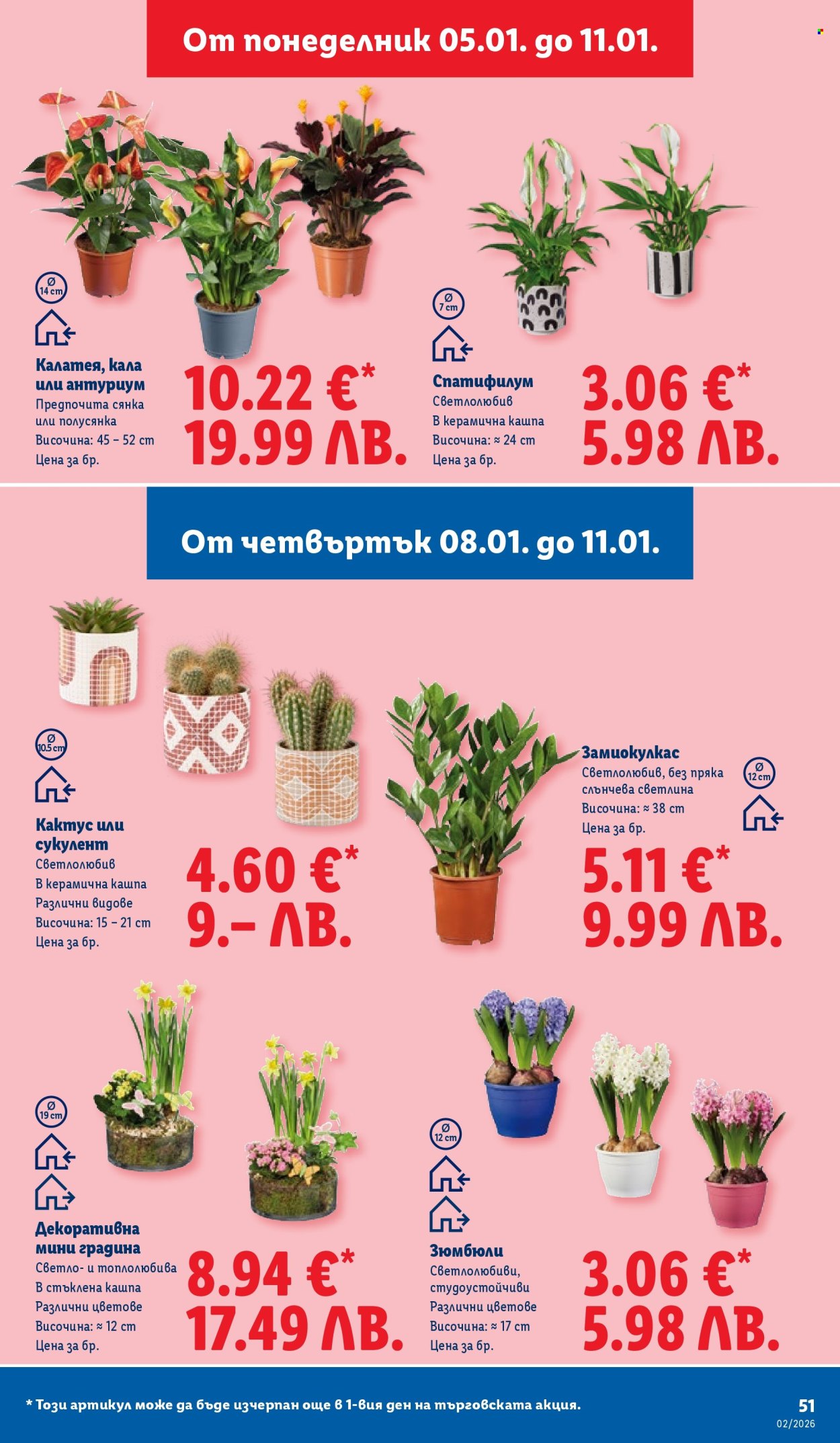 Брошура на Лидл - 05.01.2026 - 11.01.2026. Страница 51