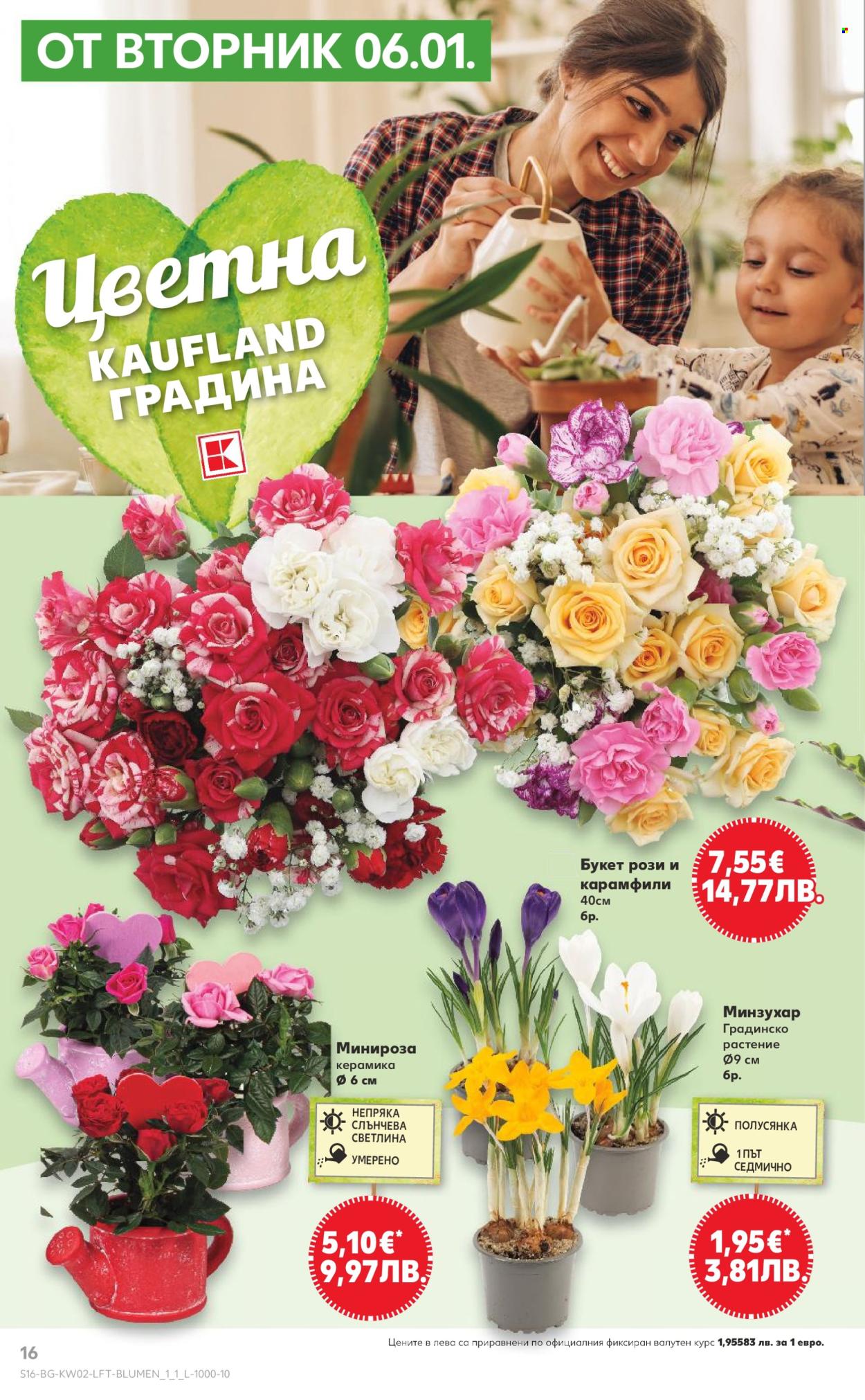 Брошура на Кауфланд - 05.01.2026 - 11.01.2026. Страница 16