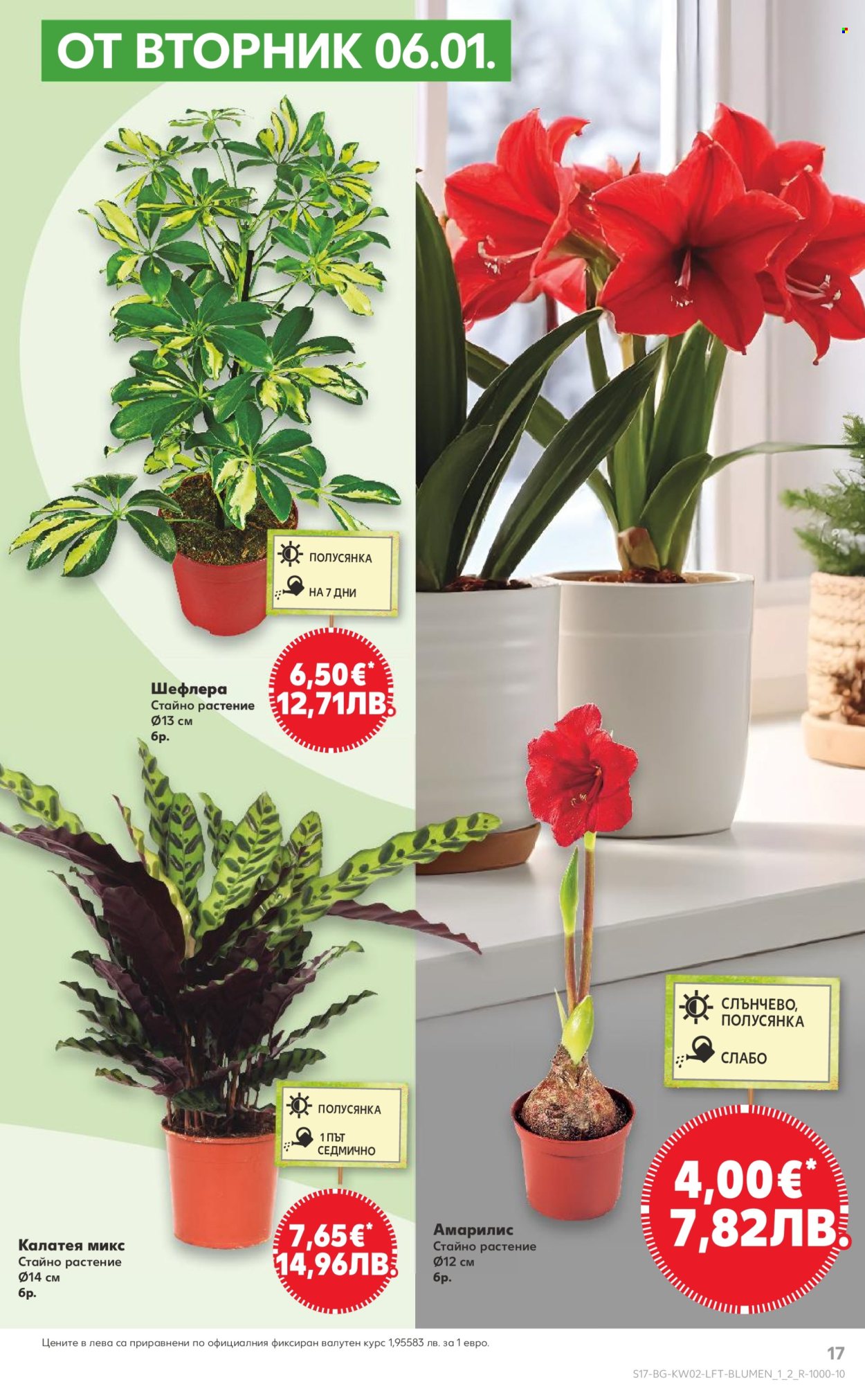 Брошура на Кауфланд - 05.01.2026 - 11.01.2026. Страница 17