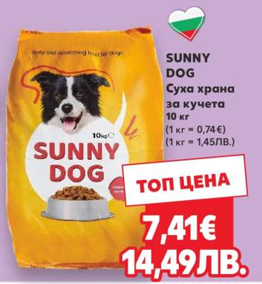 SUNNY DOG