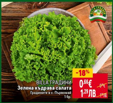 Зелена къдрава салата