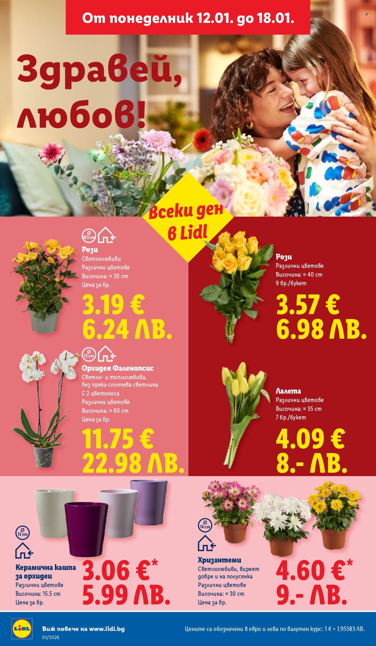 Брошура на Лидл - 12.01.2026 - 18.01.2026. Страница 38