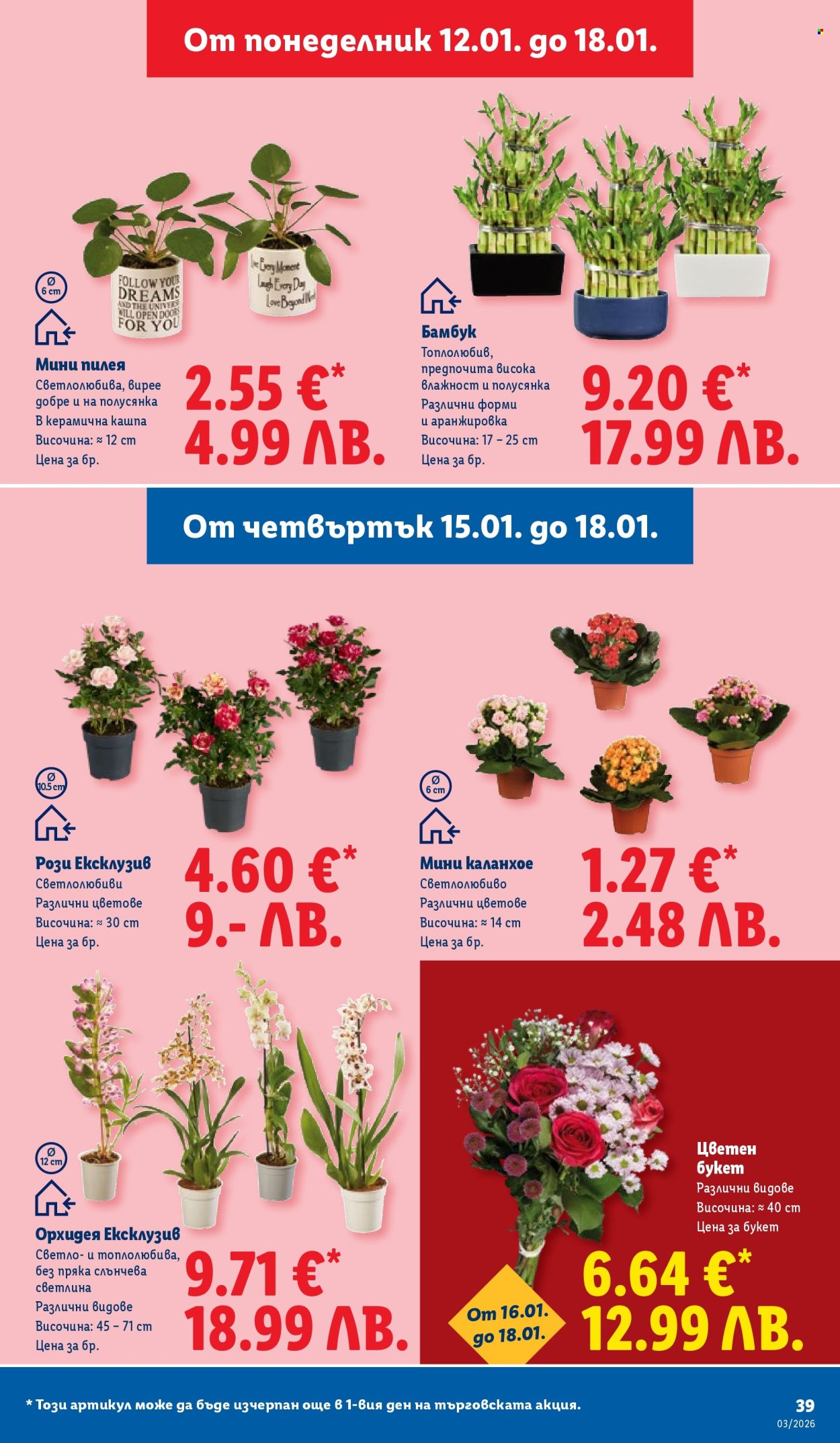 Брошура на Лидл - 12.01.2026 - 18.01.2026. Страница 39
