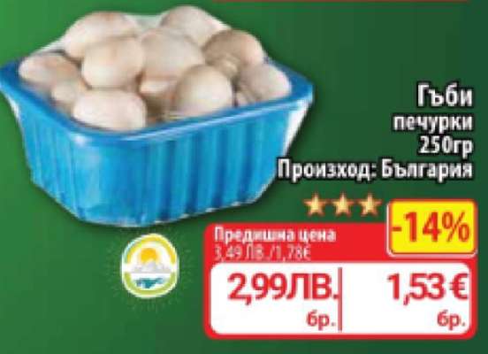 Гъби печурки