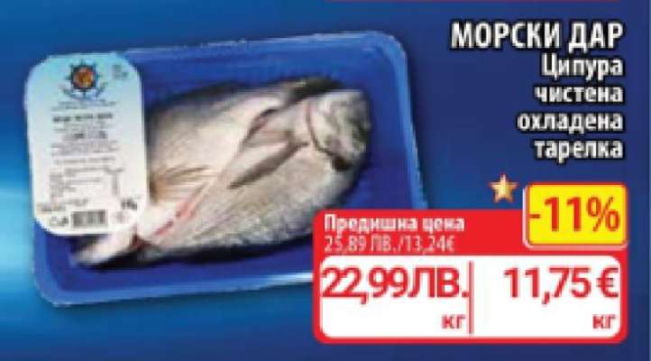 МОРСКИ ДАР Ципура