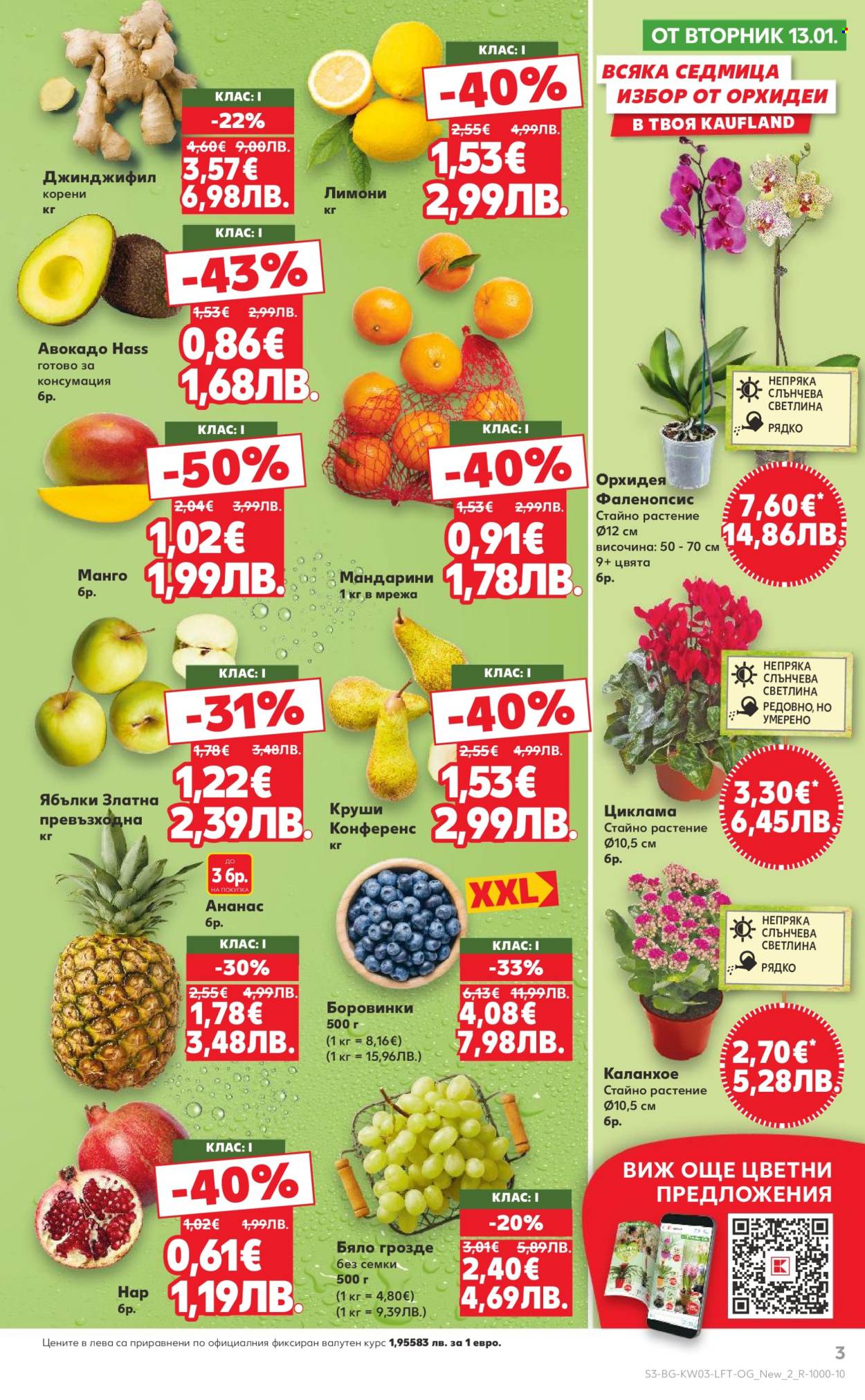 Брошура на Кауфланд - 12.01.2026 - 18.01.2026. Страница 3