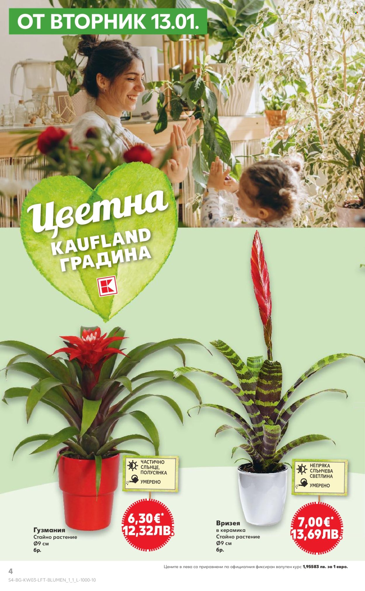 Брошура на Кауфланд - 12.01.2026 - 18.01.2026. Страница 4