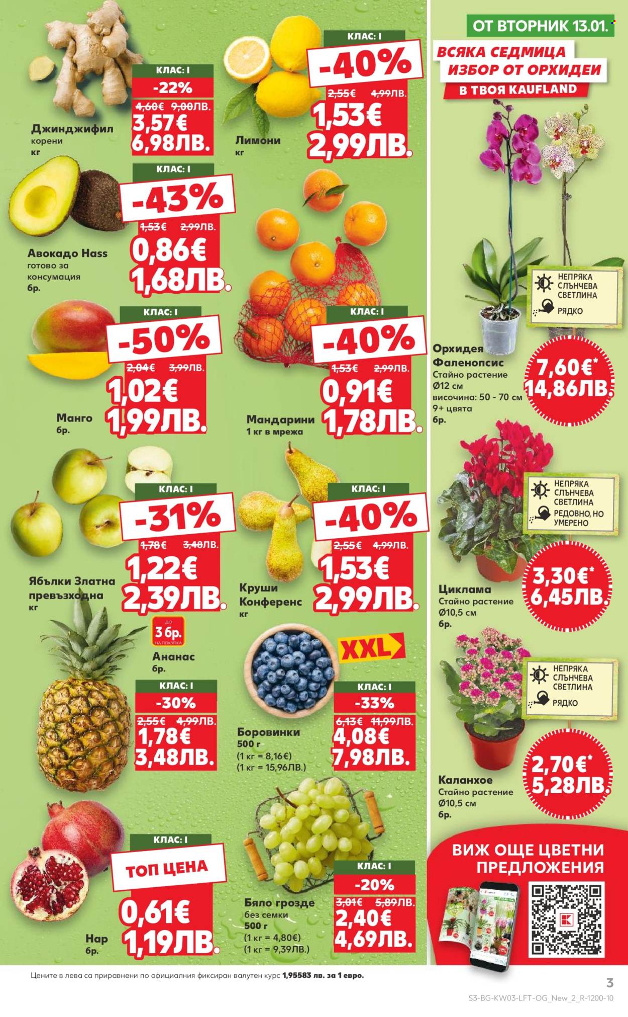 Брошура на Кауфланд - 12.01.2026 - 18.01.2026. Страница 3