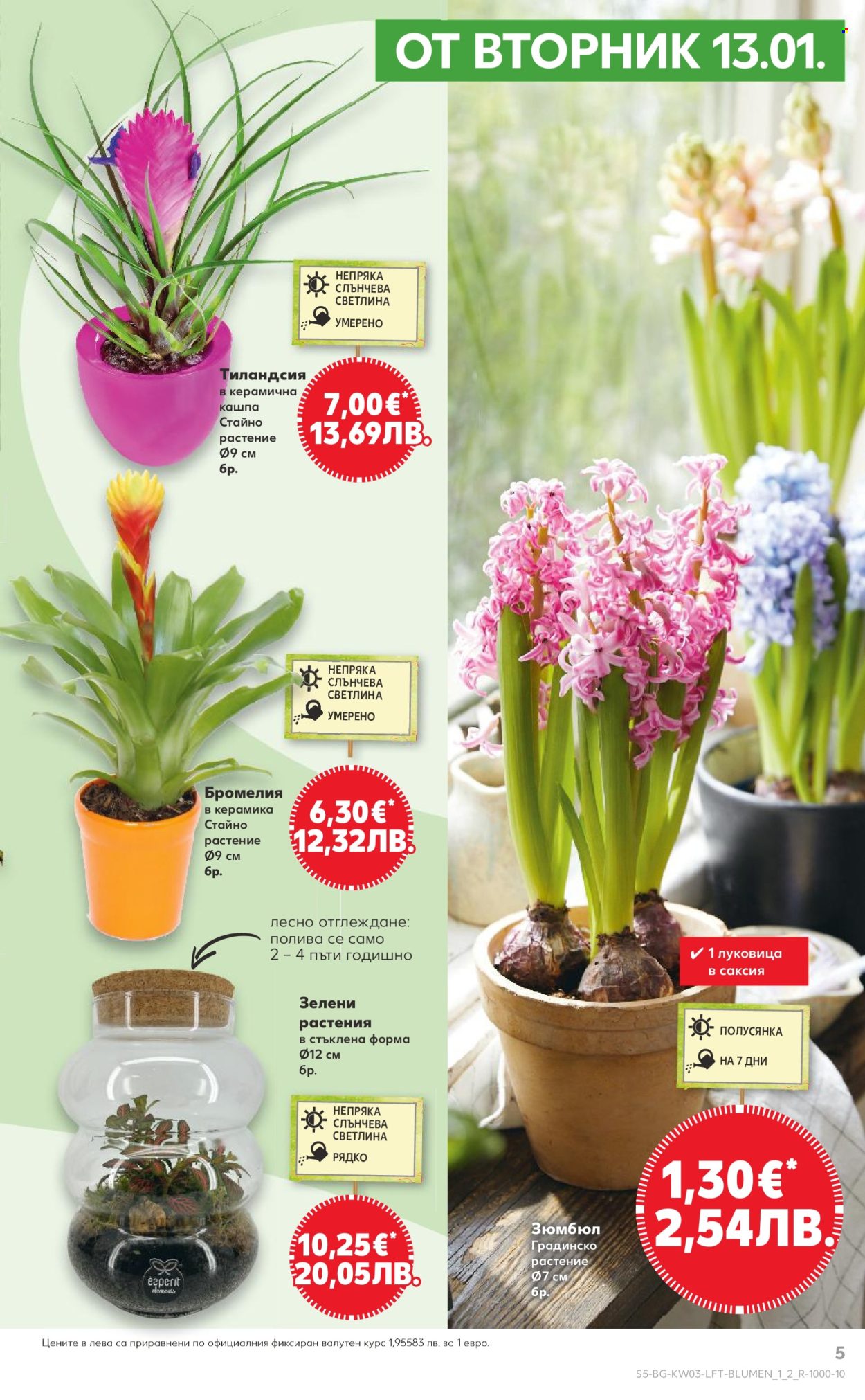 Брошура на Кауфланд - 12.01.2026 - 18.01.2026. Страница 5