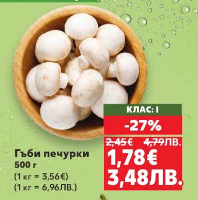 Гъби печурки