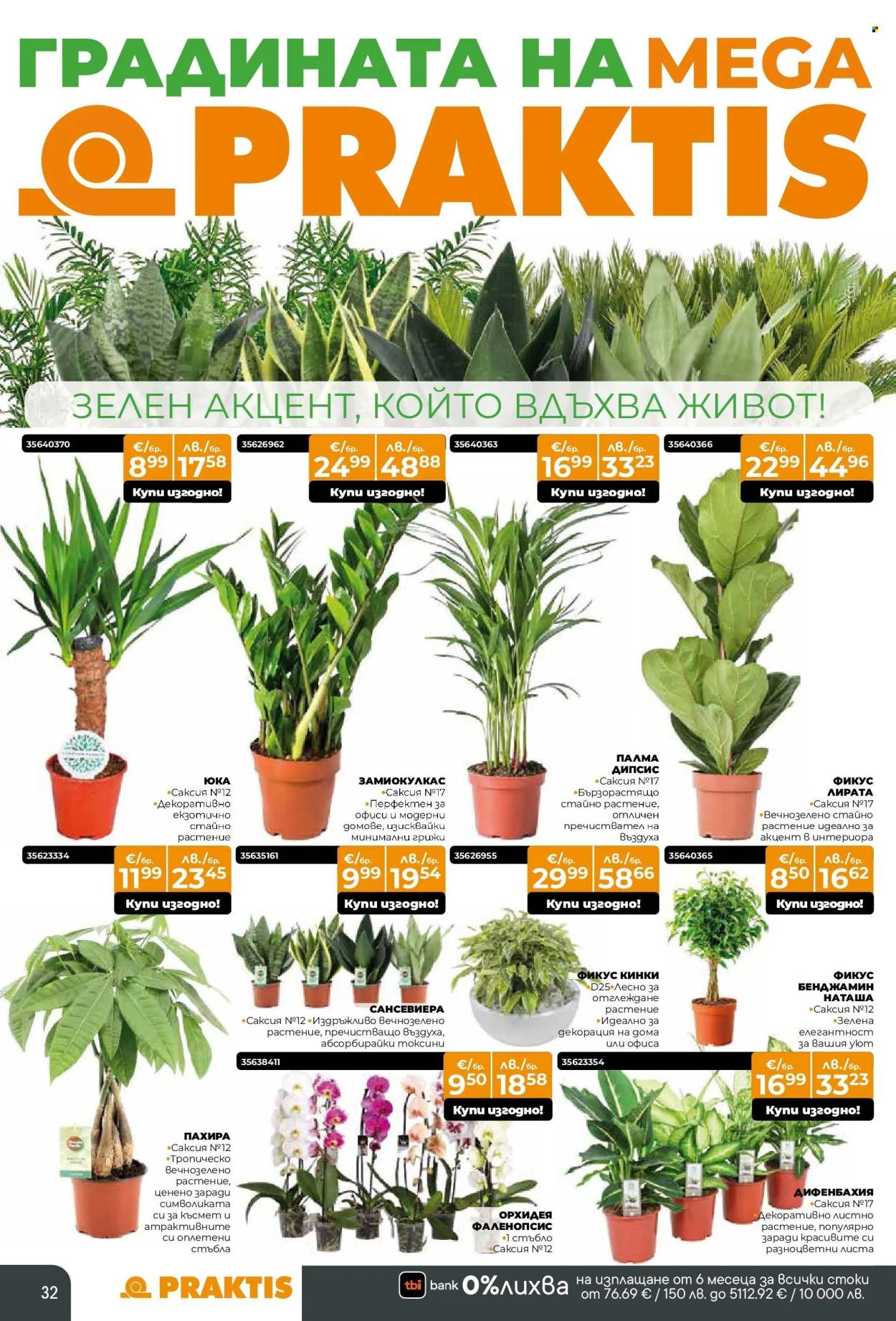 Брошура на Практис - 12.01.2026 - 08.02.2026. Страница 32