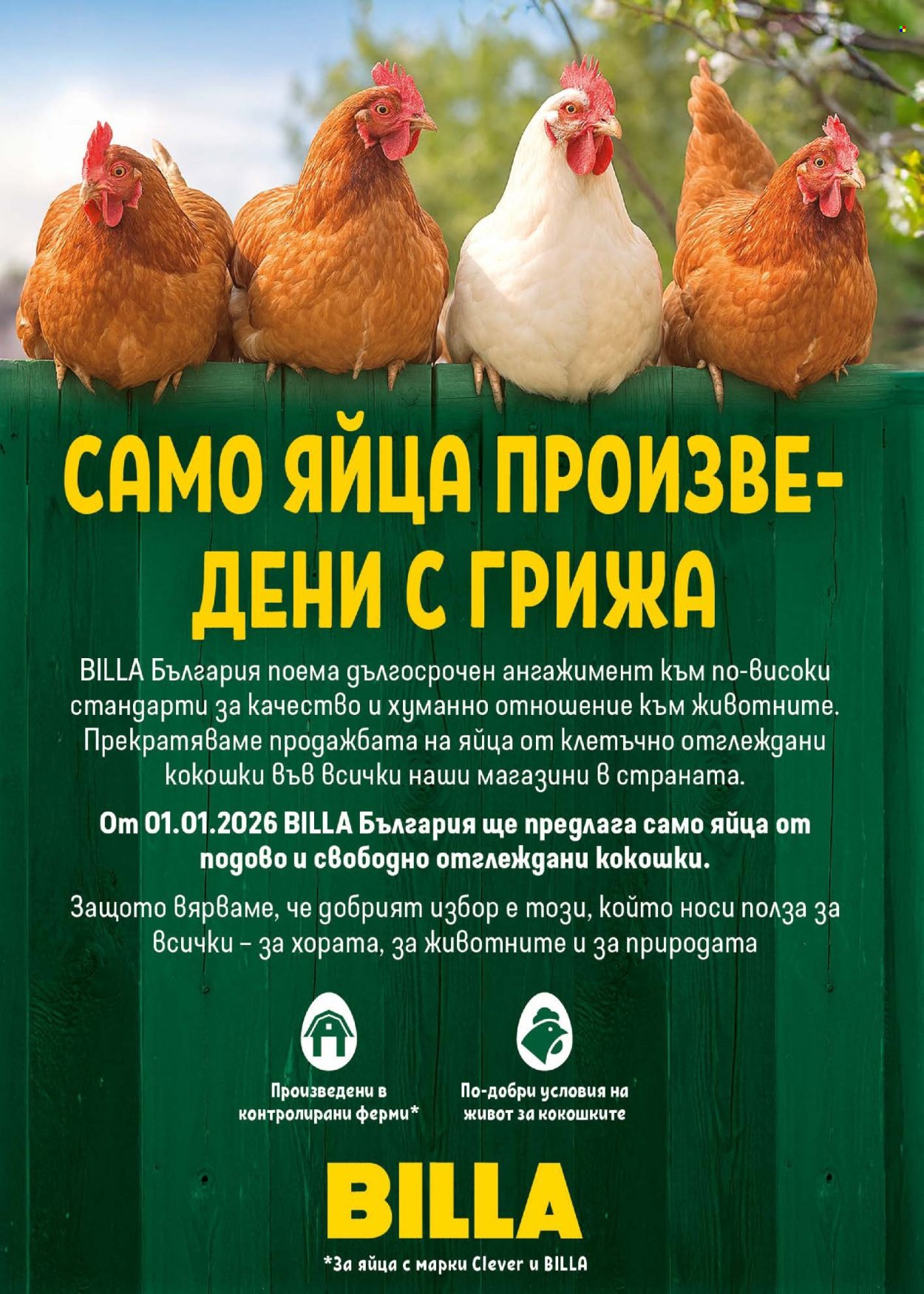 Брошура на BILLA - 15.01.2026 - 21.01.2026. Страница 18