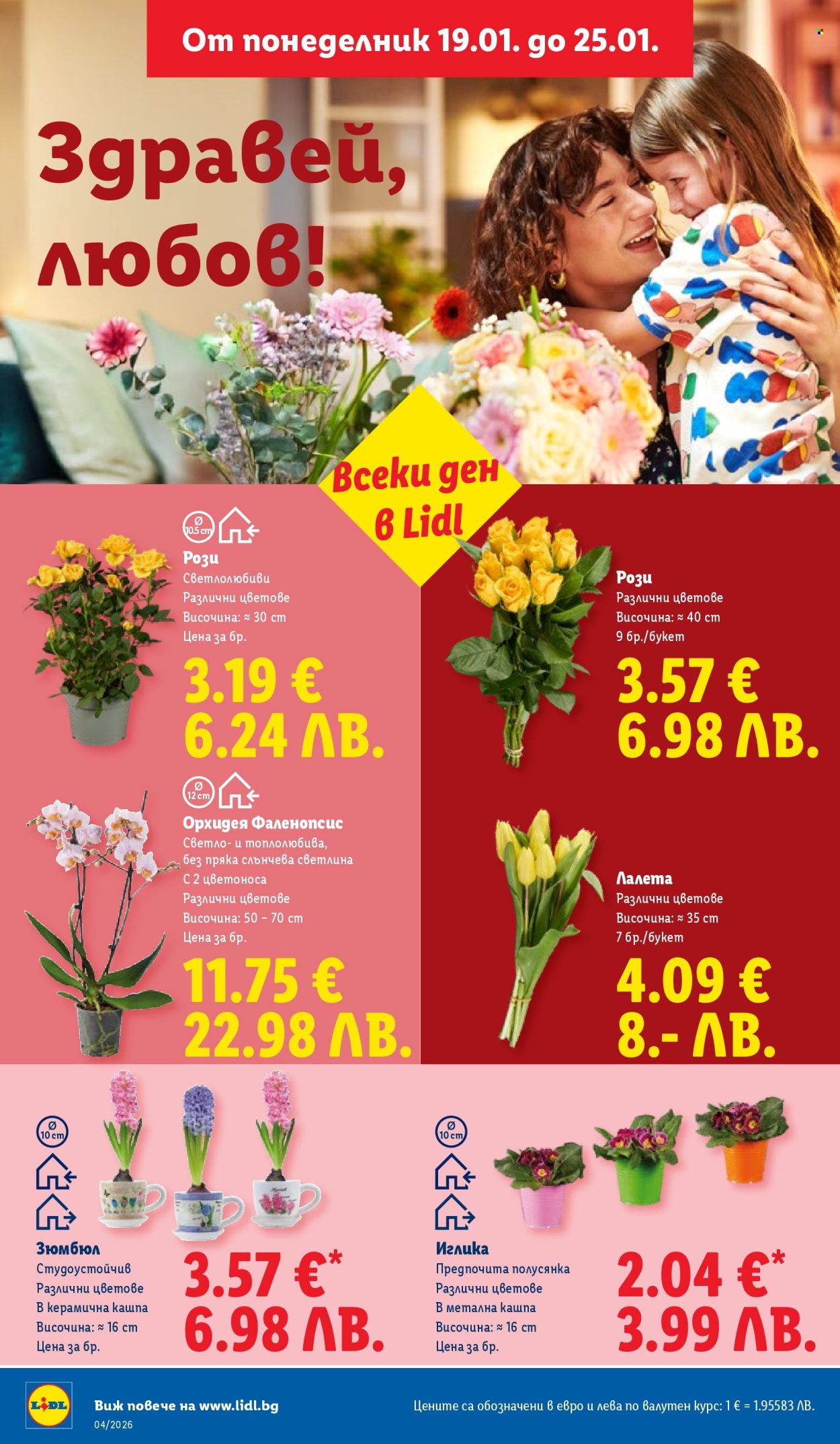 Брошура на Лидл - 19.01.2026 - 25.01.2026. Страница 54