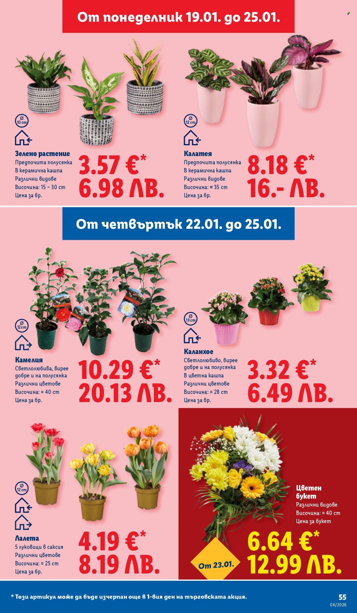 Брошура на Лидл - 19.01.2026 - 25.01.2026. Страница 55