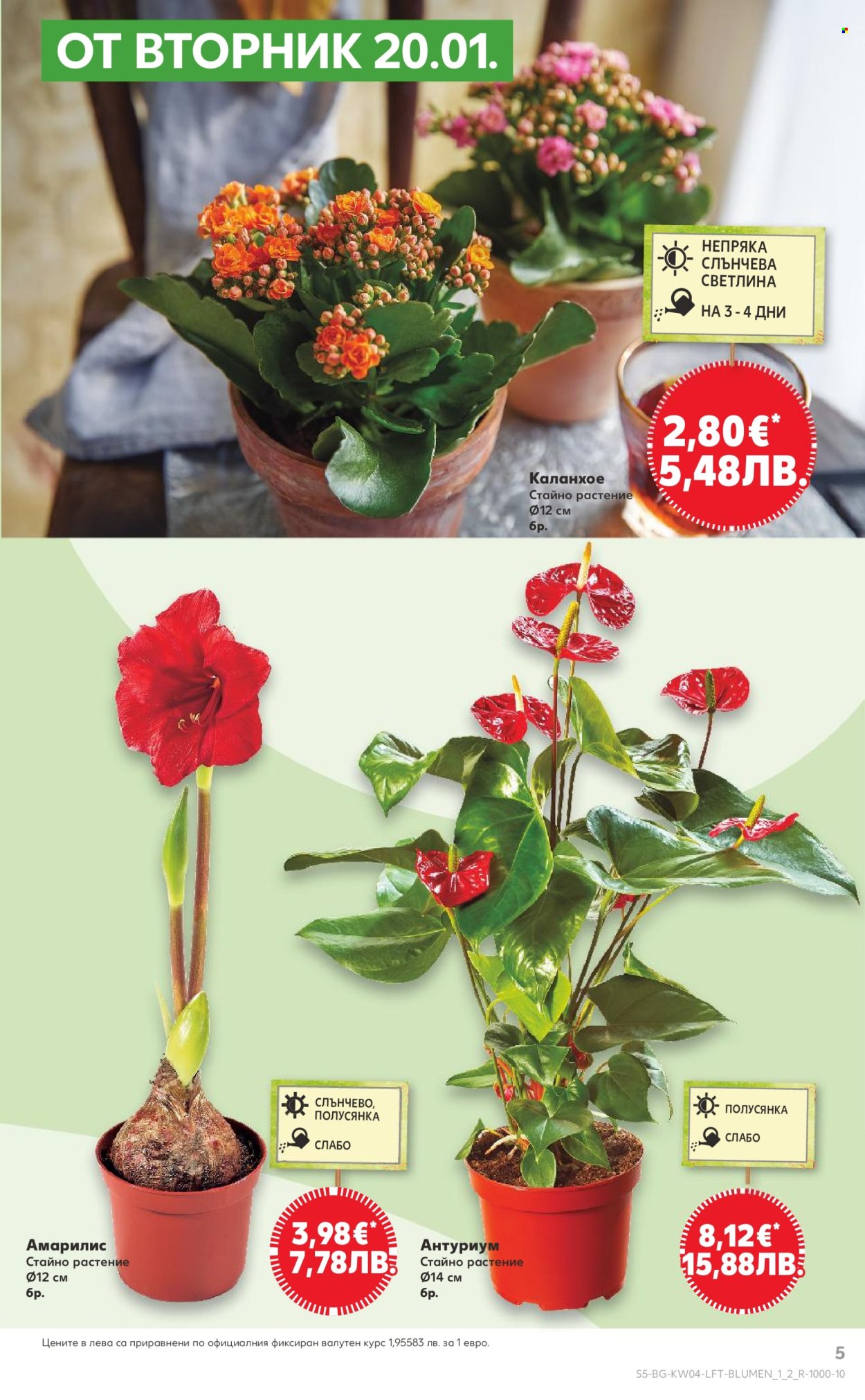 Брошура на Кауфланд - 19.01.2026 - 25.01.2026. Страница 5