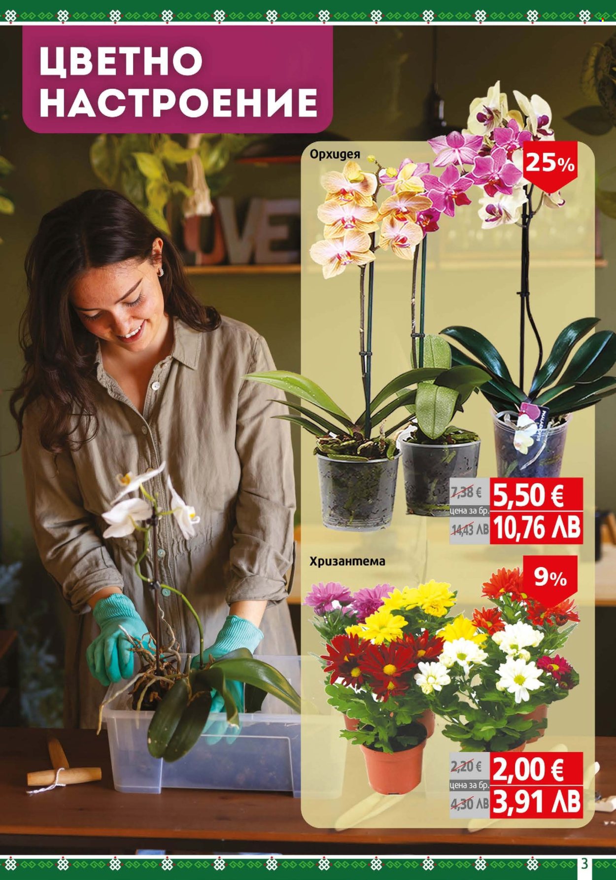 Брошура на BulMag - 19.01.2026 - 25.01.2026. Страница 3