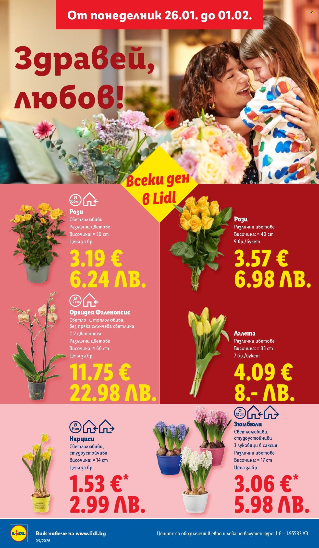 Брошура на Лидл - 26.01.2026 - 01.02.2026. Страница 50