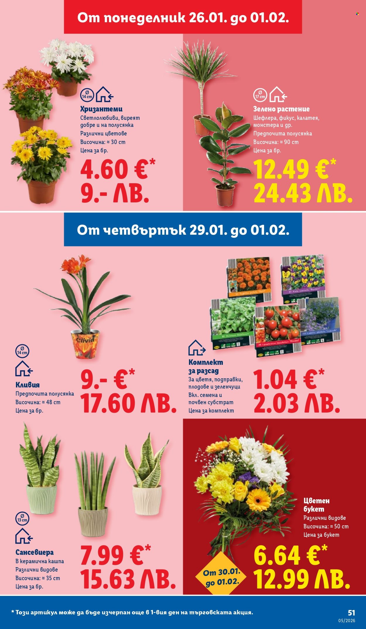 Брошура на Лидл - 26.01.2026 - 01.02.2026. Страница 51