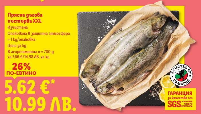 Прясна углова пъстърва XXL