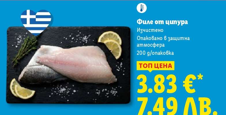 Филе от ципура