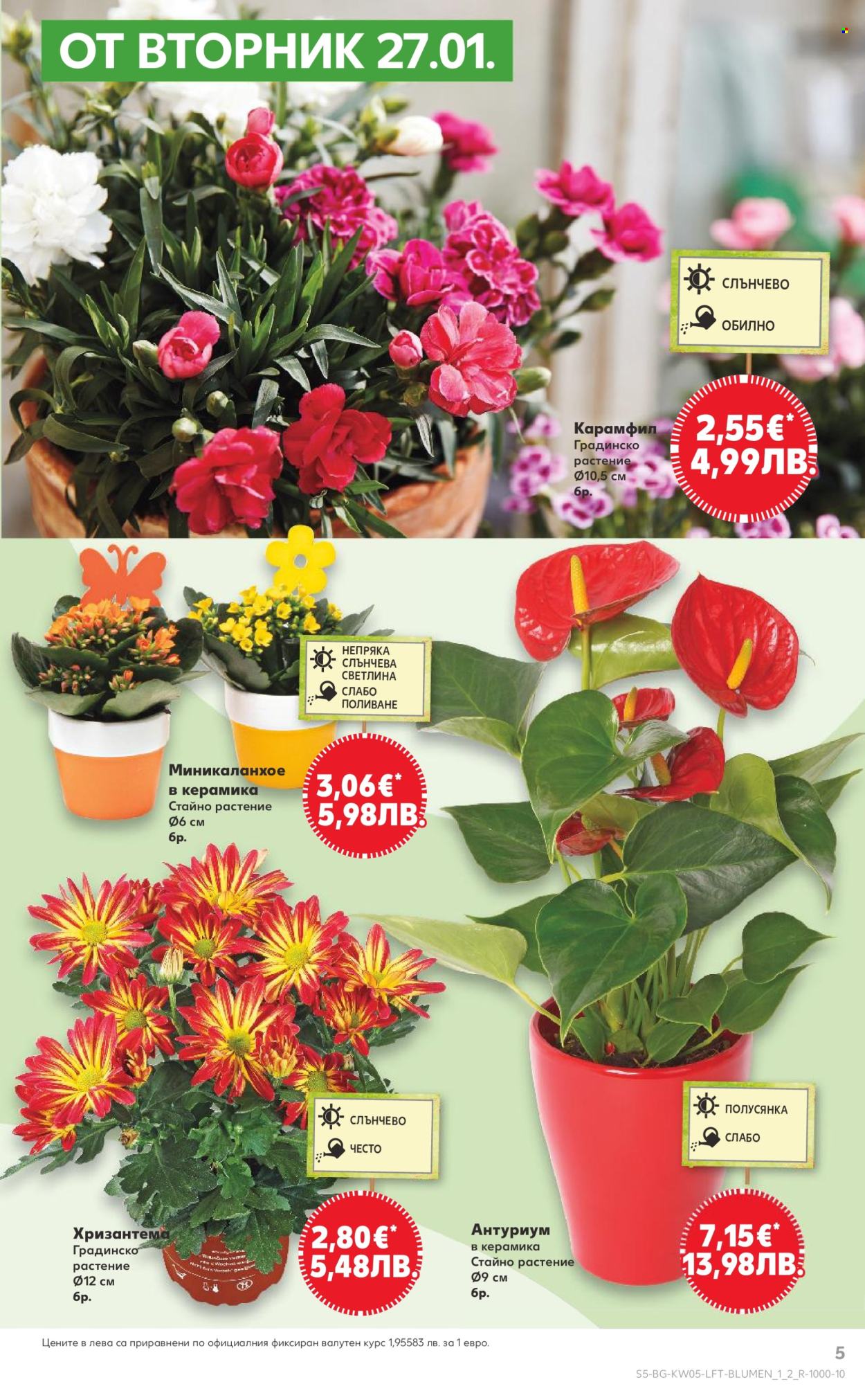 Брошура на Кауфланд - 26.01.2026 - 01.02.2026. Страница 5