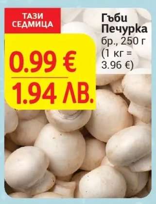 Гъби печурка