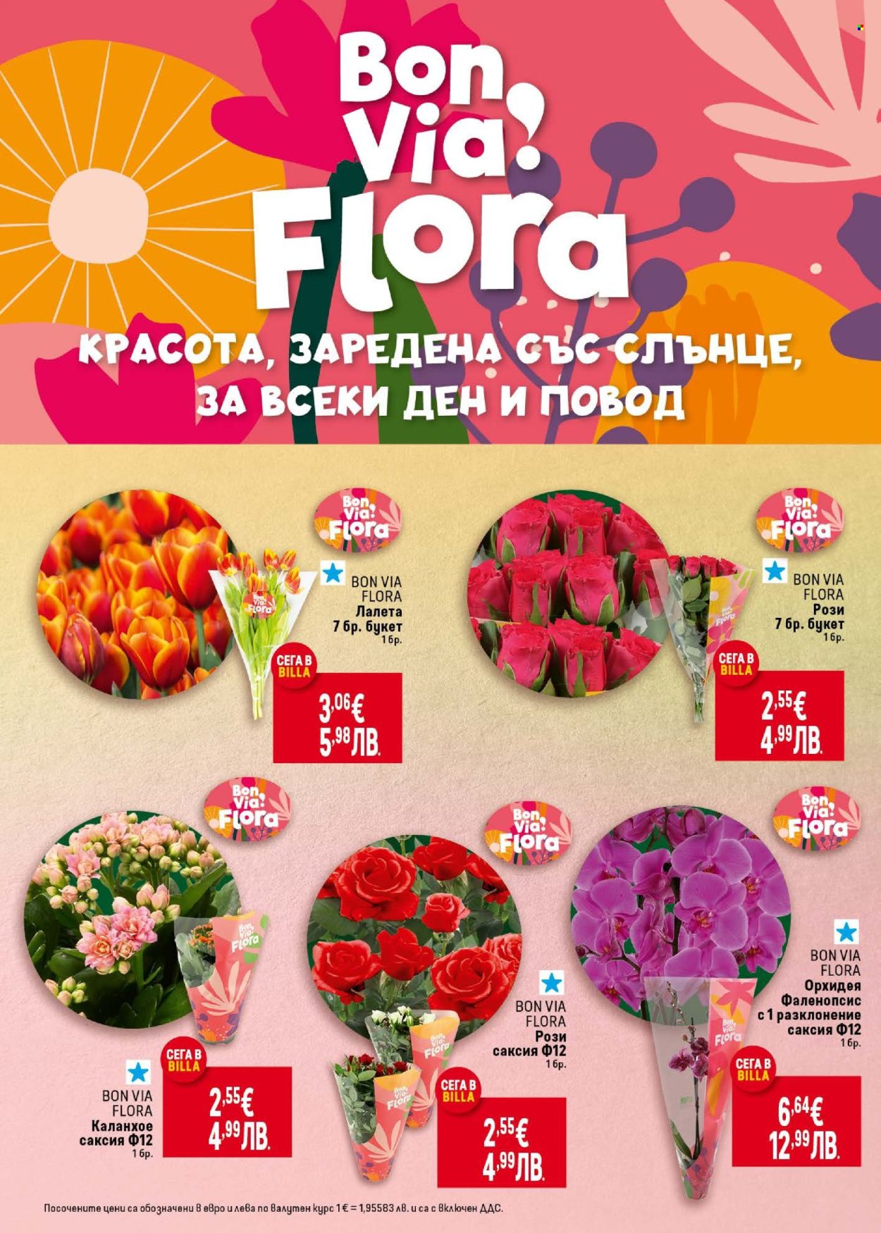 Брошура на BILLA - 29.01.2026 - 04.02.2026. Страница 10